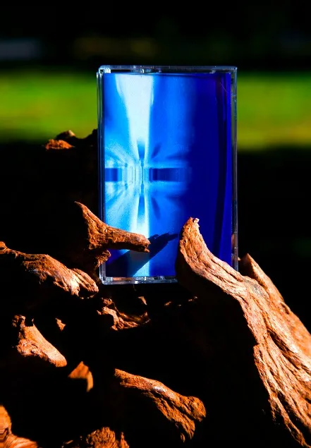 The Normal: the cassette held in a piece of driftwood in sunlight